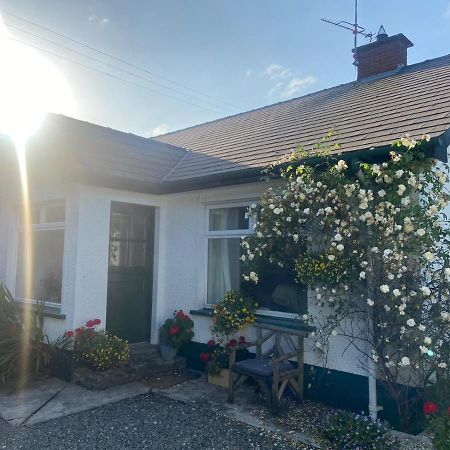 Hawthorn Cottage Greencastle  Exteriér fotografie