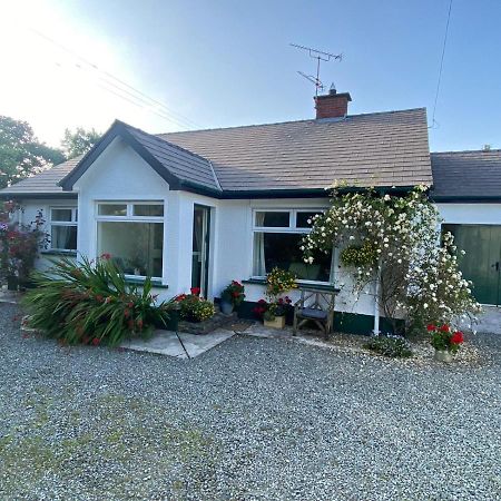 Hawthorn Cottage Greencastle  Exteriér fotografie