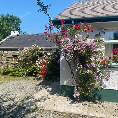 Hawthorn Cottage Greencastle  Exteriér fotografie